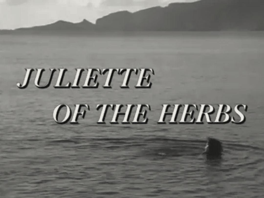One for herbalism fans Juliette of the Herbs Plants to