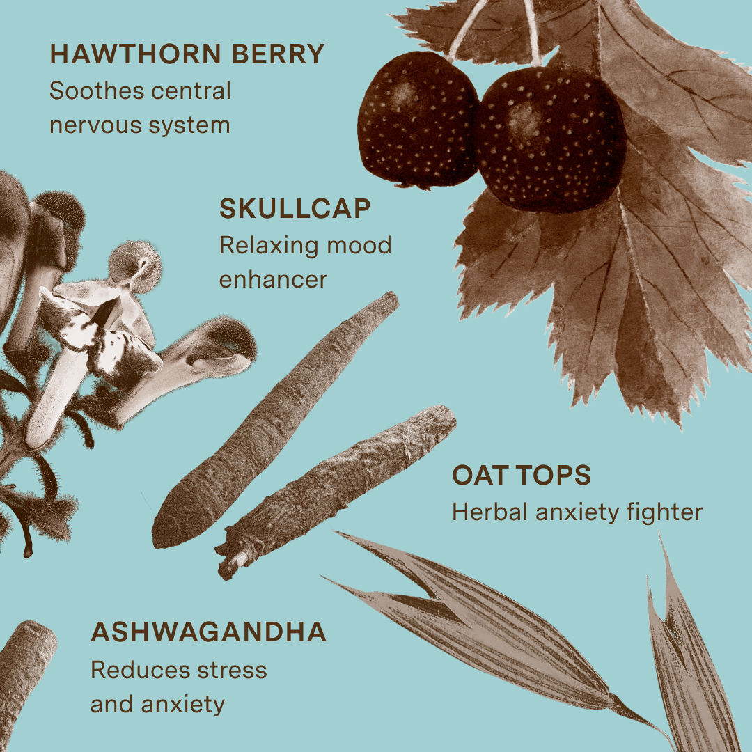 Calm Plants To The Rescue calm-plants-to-the-rescue